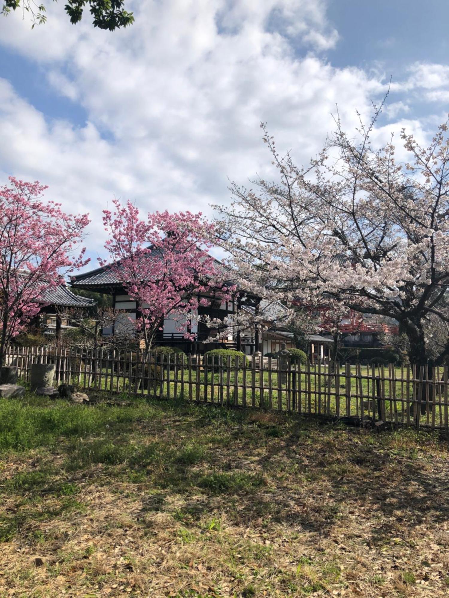 Tsubame-Ya Hotell Kyoto Eksteriør bilde