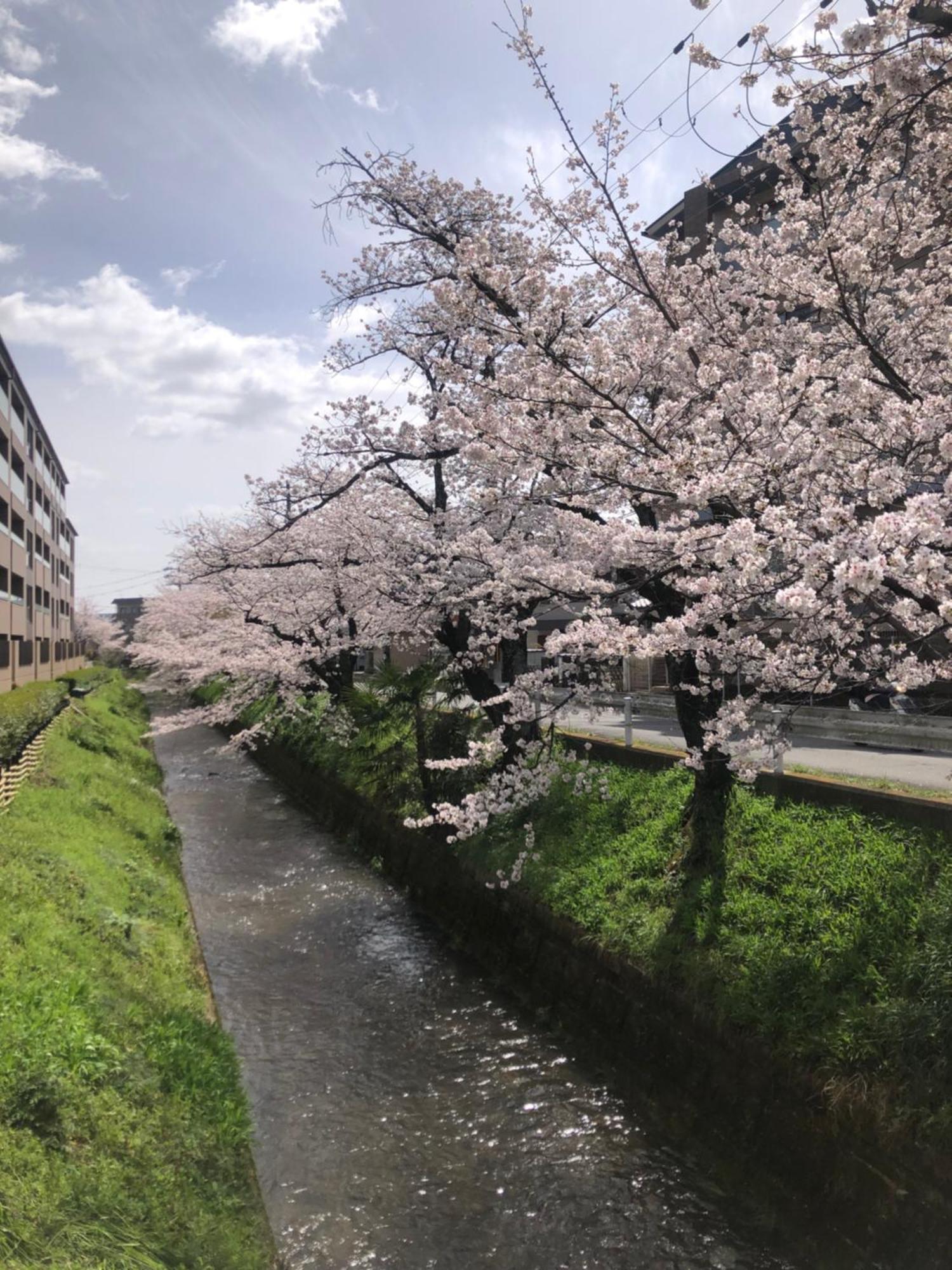 Tsubame-Ya Hotell Kyoto Eksteriør bilde